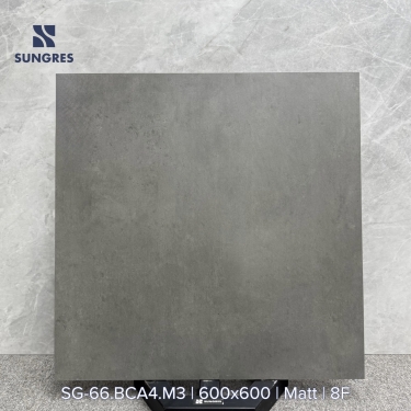 Gạch 60x60 Ấn Độ màu xám đậm vân xi măng BCA4 bề mặt mờ