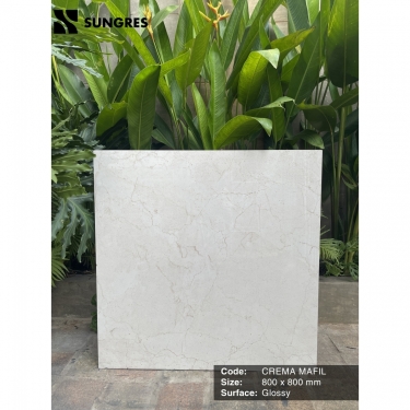 Gạch Ấn Độ 80x80 Vân Đá Marble Màu Vàng Kem Crema Marfil AK-80.014 Bề Mặt Bóng