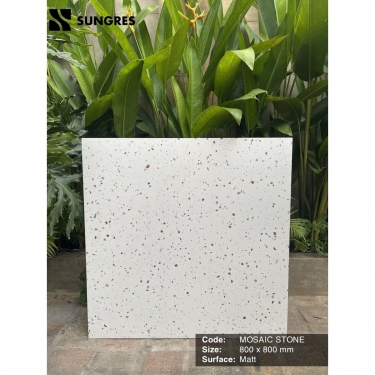 Gạch Ấn Độ 80x80 Vân Terrazzo Mosaic Stone AK-80.022M Bề Mặt Mờ