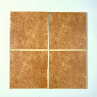 Gạch bông 20x20 màu nâu da bò có viền màu kem bề mặt mờ