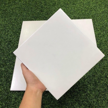 Gạch bông 20x20 màu trắng trơn không vân đơn sắc bề mặt mờ