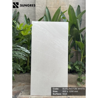 Gạch 60x120 Ấn Độ màu trắng kem vân đá xen hạt Burlington White bề mặt mờ