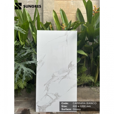 Gạch Ấn Độ 60x120 Trắng Vân Đá Marble Carrara Bianco Bề Mặt Siêu Bóng