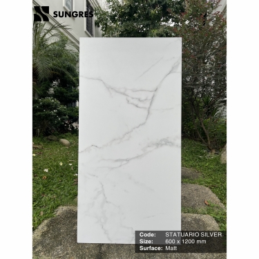 Gạch Ấn Độ 60x120 Trắng Vân Đá Marble Satuario Silver Bề Mặt mờ