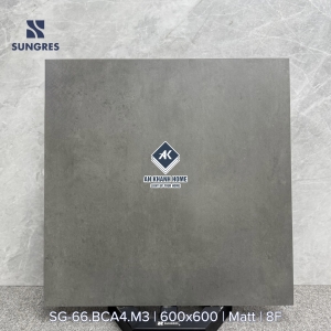 Gạch 60x60 Ấn Độ màu xám đậm vân xi măng BCA4 bề mặt mờ