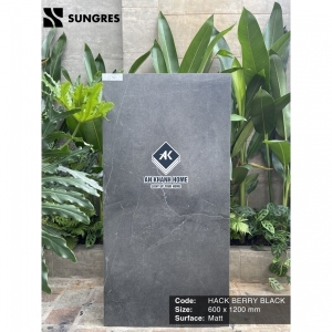 Gạch Ấn Độ 60x120 Đen Xi Măng Hack Berry Black Bề Mặt Mờ