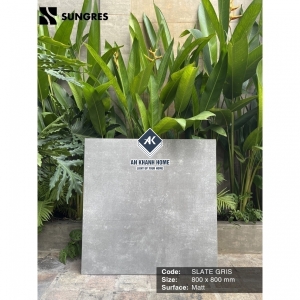 Gạch Ấn Độ 80x80 Màu Xám Xi Măng Đậm Slate Gris AK-80.019M Bề Mặt Mờ