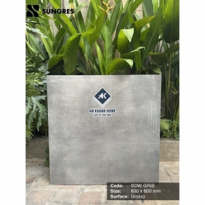 Gạch Ấn Độ 80x80 Màu Xám Xi Măng Đậm Snow Gris AK-80.022 Bề Mặt Mờ Sugar