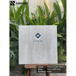 Gạch Ấn Độ 60x60 Màu Xám Kem Reacsion Grey AK 60009M Bề Mặt Mờ