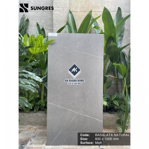 Gạch Ấn Độ 60x120 Xám Đậm Vân Đá Basalata Natural Bề Mặt Mờ