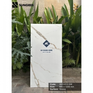 Gạch Ấn Độ 60x120 Trắng Vân Đá GL Bề Mặt Siêu Bóng