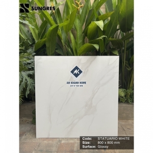 Gạch Ấn Độ 80x80 Màu Trắng Vân Mây Staturio White AKS-88.5001 Bề Mặt Bóng