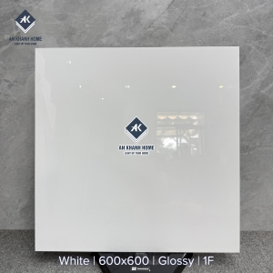 Gạch 60x60 trắng trơn bóng đơn sắc không vân