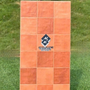 Gạch ốp tường 40x80 mix màu đất nung   