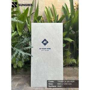 Gạch Ấn Độ 60x120 Xám Xi Măng Tribeca Silver Bề Mặt Mờ