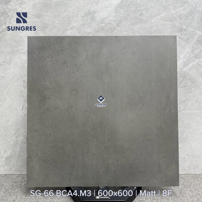 Gạch 60x60 Ấn Độ màu xám đậm vân xi măng BCA4 bề mặt mờ