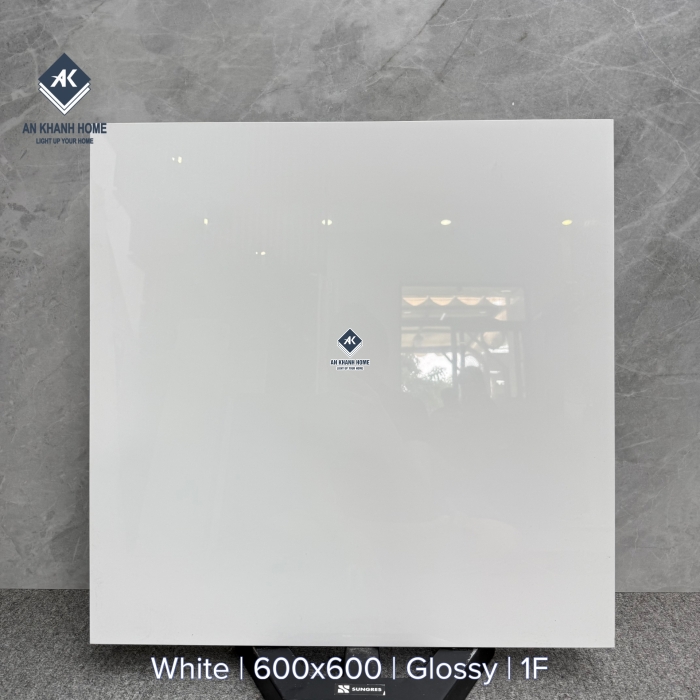 Gạch 60x60 trắng trơn bóng đơn sắc không vân