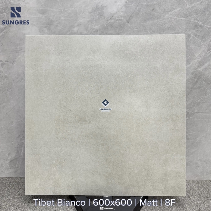  Gạch Ấn Độ 60x60 Màu Xám Xi Măng IN15M Tibet Bianco Bề Mặt Mờ