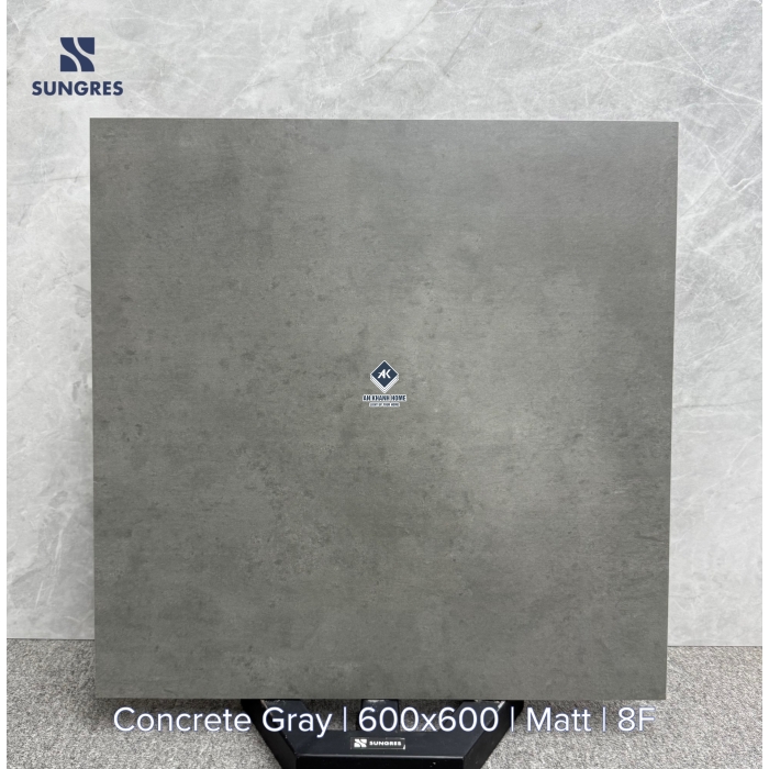 Gạch 60x60 Ấn Độ màu xám đậm vân xi măng BCA4 bề mặt mờ