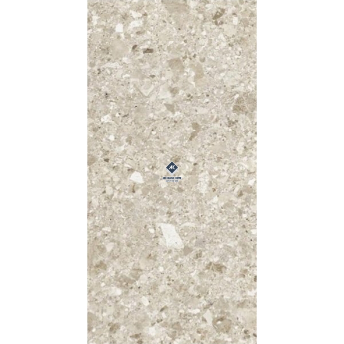 Gạch Ấn Độ 60x120 Terazzo Alpha Silver 12023 Bề Mặt Bóng