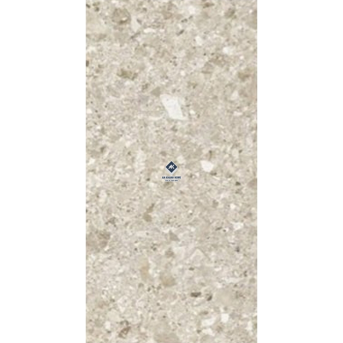 Gạch Ấn Độ 60x120 Terazzo Alpha Silver 12023 Bề Mặt Bóng