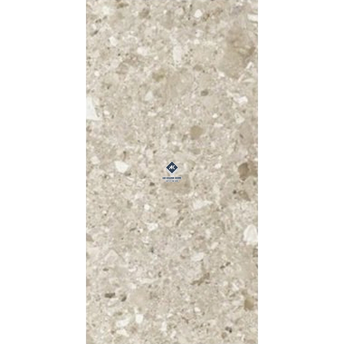 Gạch Ấn Độ 60x120 Terazzo Alpha Silver 12023 Bề Mặt Bóng