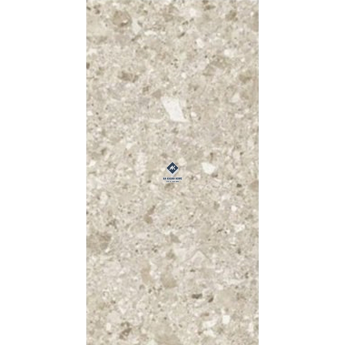 Gạch Ấn Độ 60x120 Terazzo Alpha Silver 12023 Bề Mặt Bóng