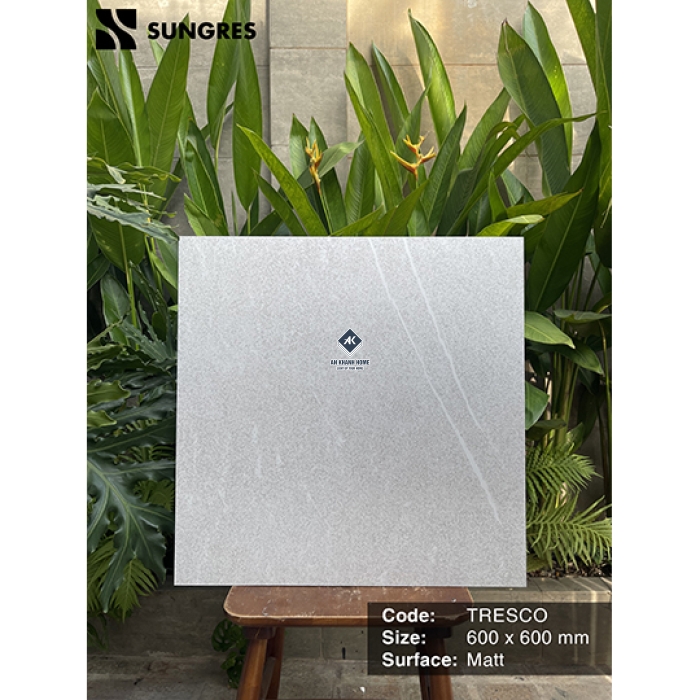 Gạch Ấn Độ 60x60 Xám Vân Đá Tresco Bề Mặt Mờ