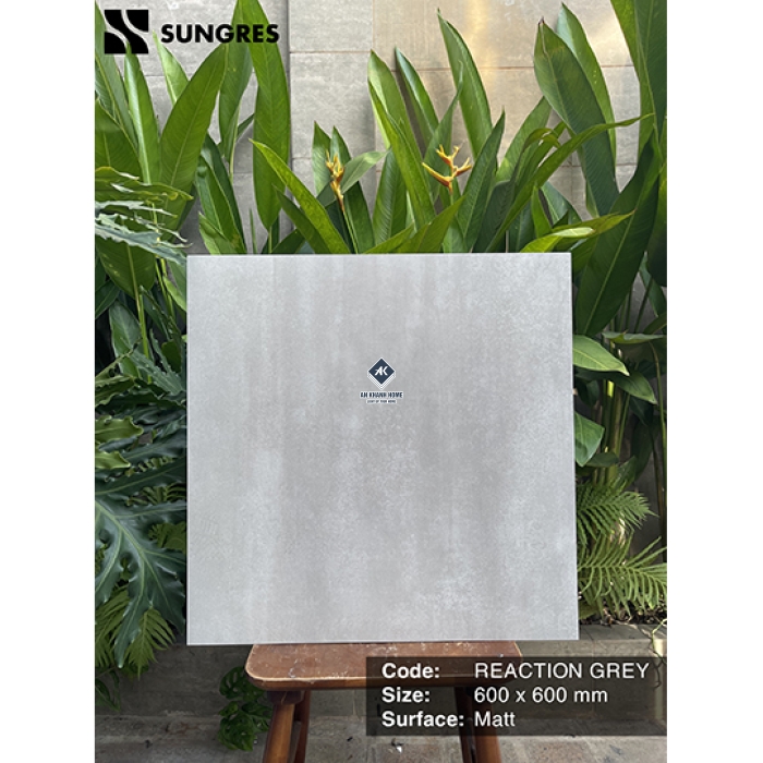 Gạch Ấn Độ 60x60 Xám Vân Đá REACTION GREY Bề Mặt Mờ