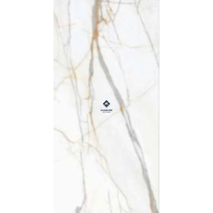 Gạch Ấn Độ 120x240 AVA-2410 Bề Mặt Bóng