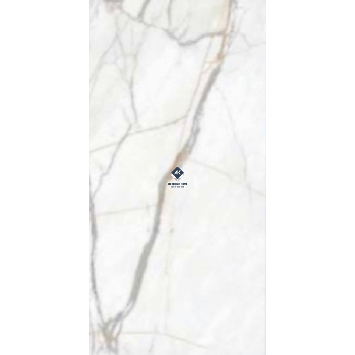 Gạch Ấn Độ 120x240 AVA-2410 Bề Mặt Bóng