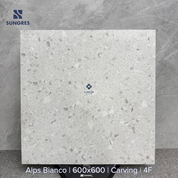 Gạch Ấn Độ 60x60 Terrazzo Xám Alps Bianco Bề Mặt Carving