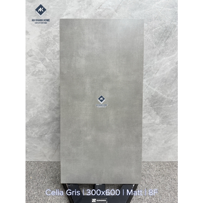 Gạch Ấn Độ 30x60 Xám Xi Măng Celia Gris Bề Mặt Mờ
