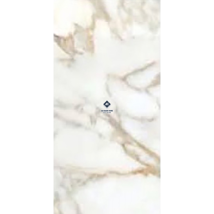 Gạch Ấn Độ 80x160 Màu Trắng Vân Đá Alex Calacatta AVA-BL816.19 Bề Mặt Bóng