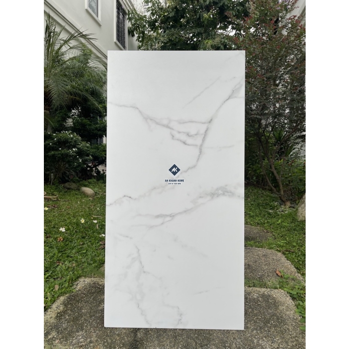Gạch 60x120 Ấn Độ màu trắng vân mây xám Statuario Silver bề mặt mờ
