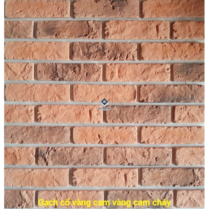 Tổng hợp các mẫu gạch thẻ giả cổ xu hướng 2026