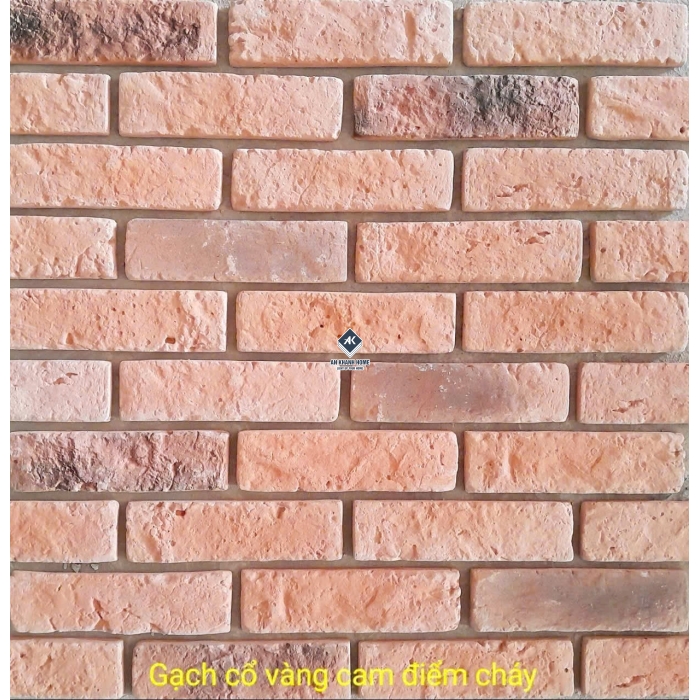 Tổng hợp các mẫu gạch thẻ giả cổ xu hướng 2026