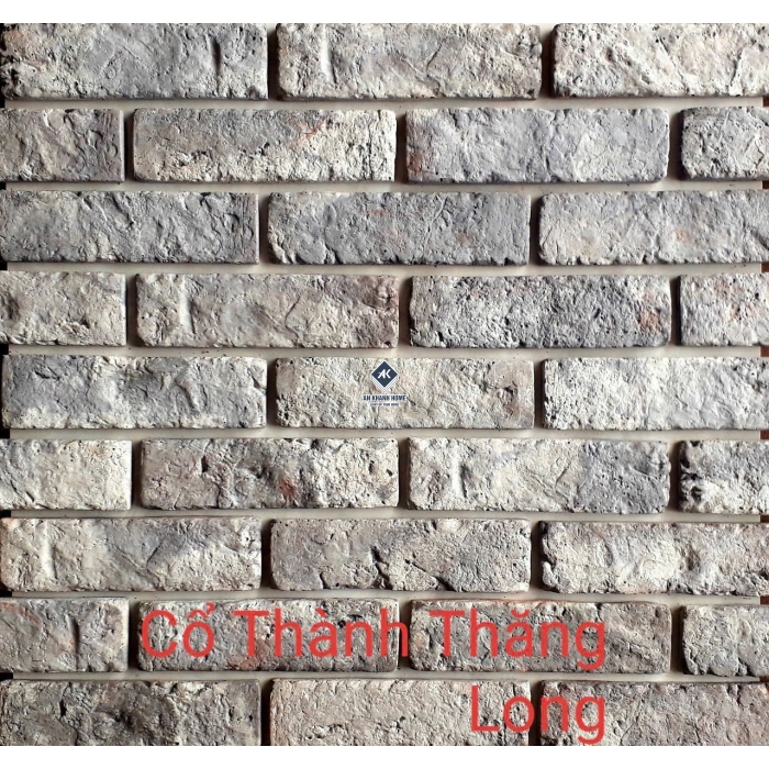 Tổng hợp các mẫu gạch thẻ giả cổ xu hướng 2026