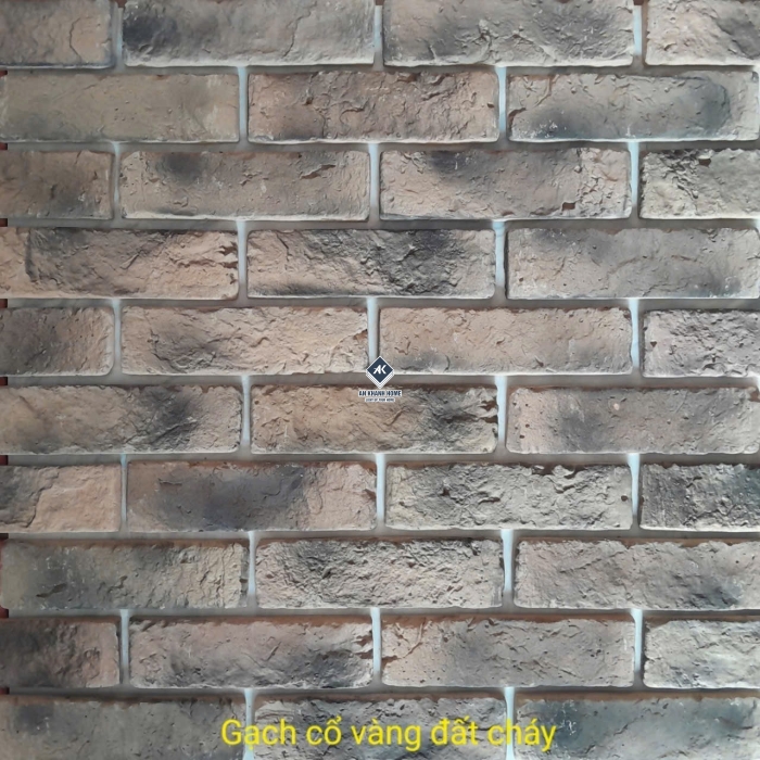 Tổng hợp các mẫu gạch thẻ giả cổ xu hướng 2026