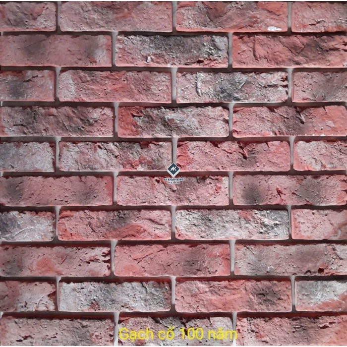 Tổng hợp các mẫu gạch thẻ giả cổ xu hướng 2026