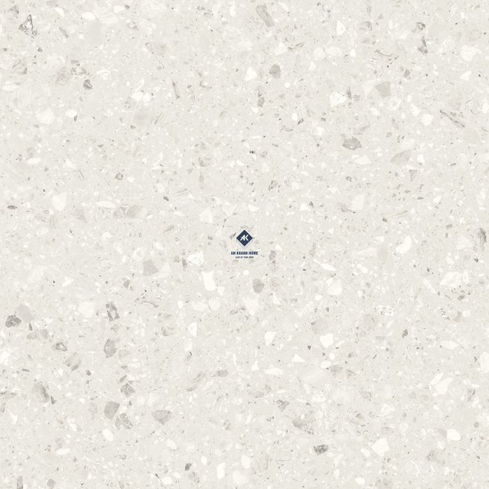 Gạch Ấn Độ 60x60 Terrazzo Light SG-66.620C trắng kem Bề Mặt Carving