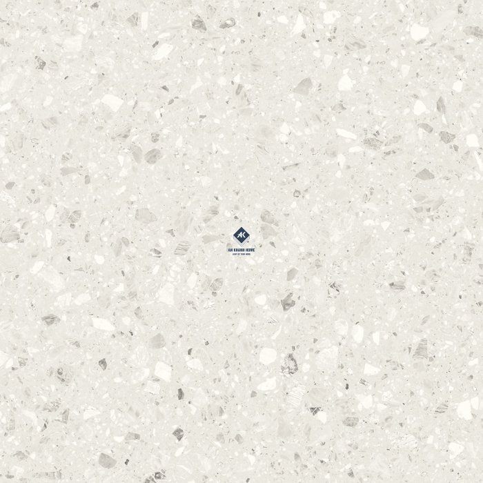 Gạch Ấn Độ 60x60 Terrazzo Light SG-66.620C trắng kem Bề Mặt Carving