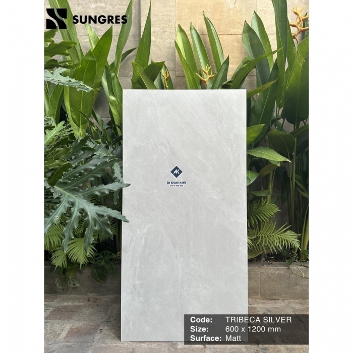 Gạch Ấn Độ 60x120 Xám Xi Măng Tribeca Silver Bề Mặt Mờ