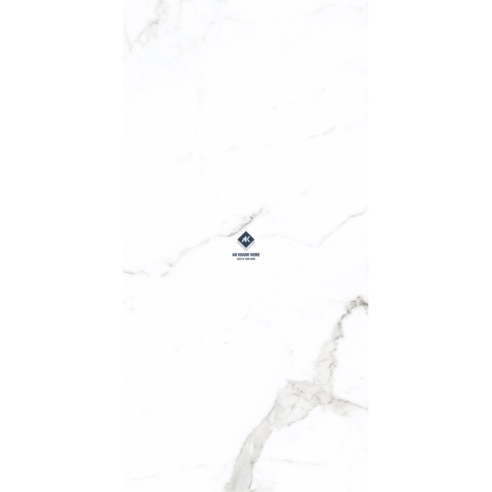 Gạch Ấn Độ 60x120 Trắng Vân Đá Marble Satuario Silver Bề Mặt mờ
