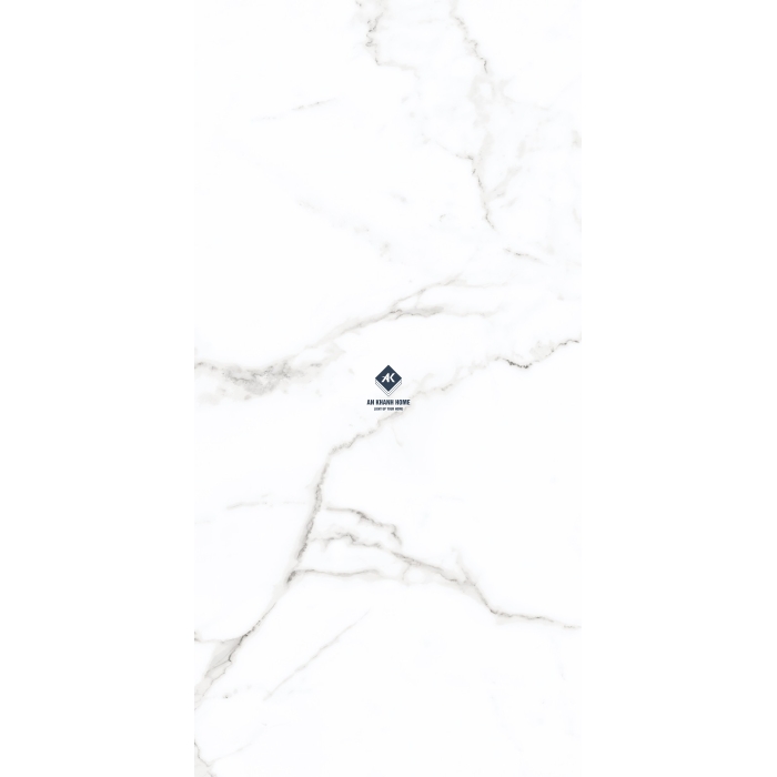 Gạch Ấn Độ 60x120 Trắng Vân Đá Marble Satuario Silver Bề Mặt mờ