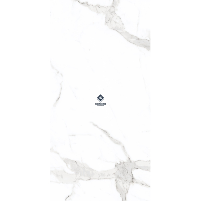 Gạch Ấn Độ 60x120 Trắng Vân Đá Marble Satuario Silver Bề Mặt mờ