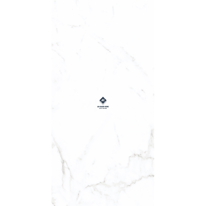 Gạch Ấn Độ 60x120 Trắng Vân Đá Marble Satuario Silver Bề Mặt mờ