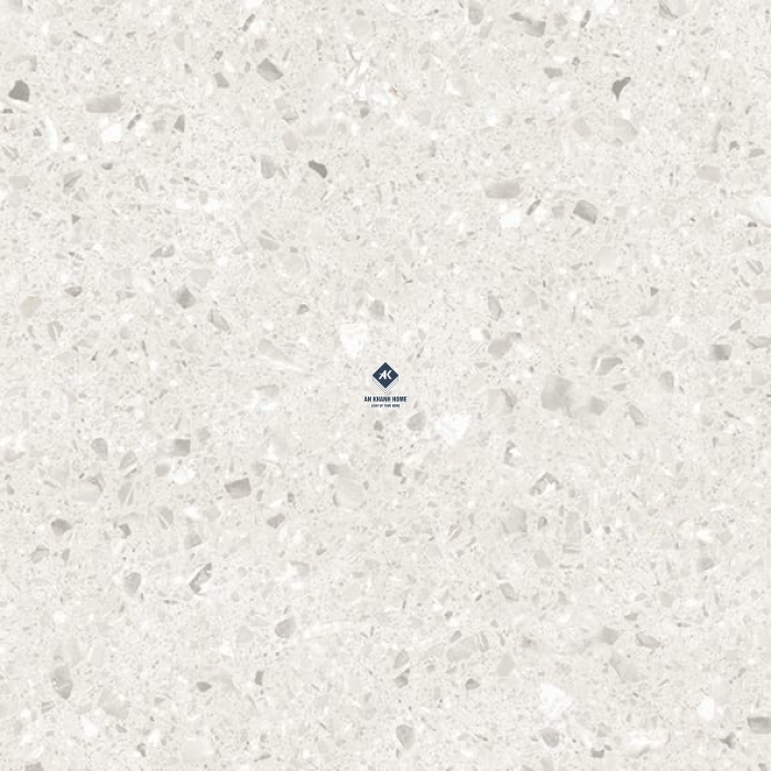 Gạch Ấn Độ 60x60 Terrazzo Xám Alps Bianco Bề Mặt Carving