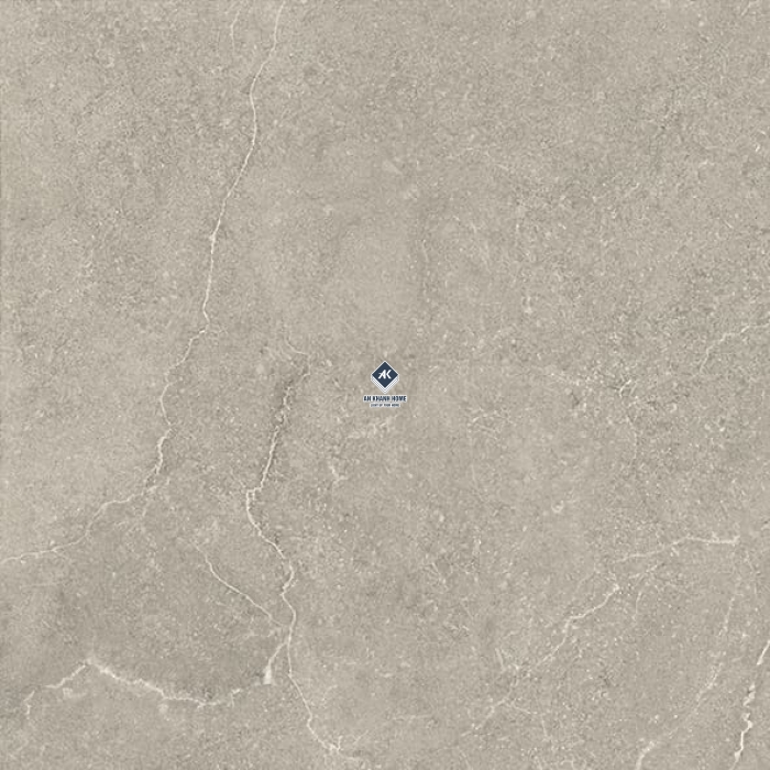 Gạch Ấn Độ 60x60 Kem Vân Đá Fresco Grigio Bề Mặt Mờ