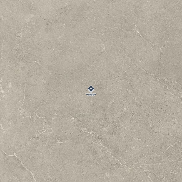 Gạch Ấn Độ 60x60 Kem Vân Đá Fresco Grigio Bề Mặt Mờ